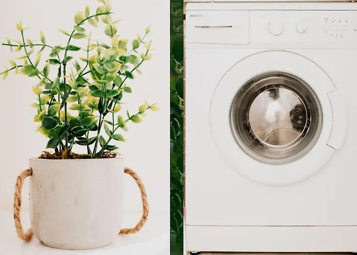 L'alto - Toulousecozyflat - Centre- Parking - Metro Toulouse